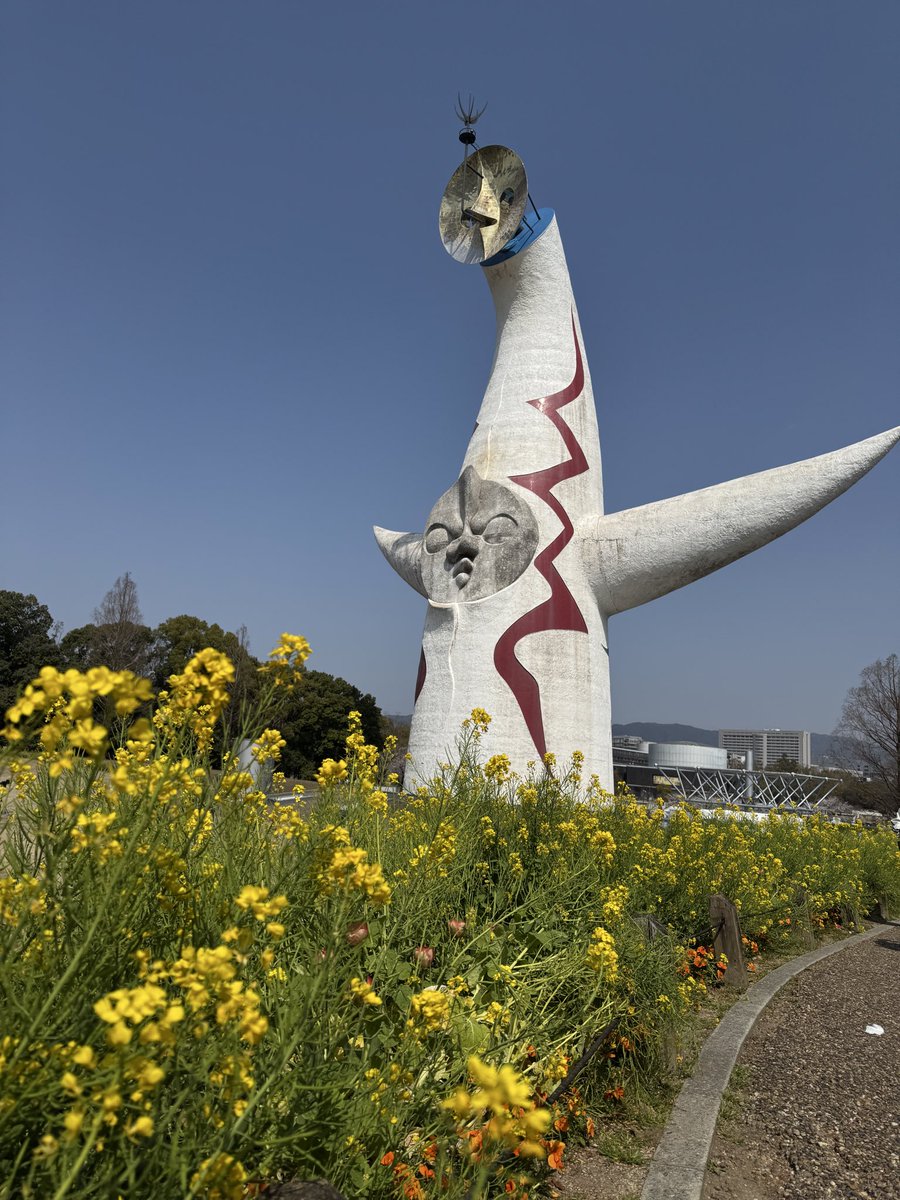 cottontaro's tweet photo. 大阪万博公園！
5年以内に3回は行ったなぁ……明日にでもまた行きたい場所！ https://t.co/xDKesjGcFd