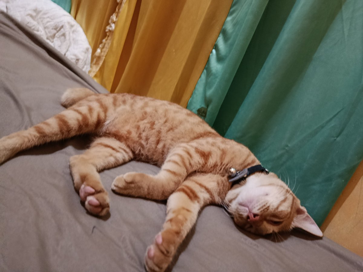doqsli tweet picture