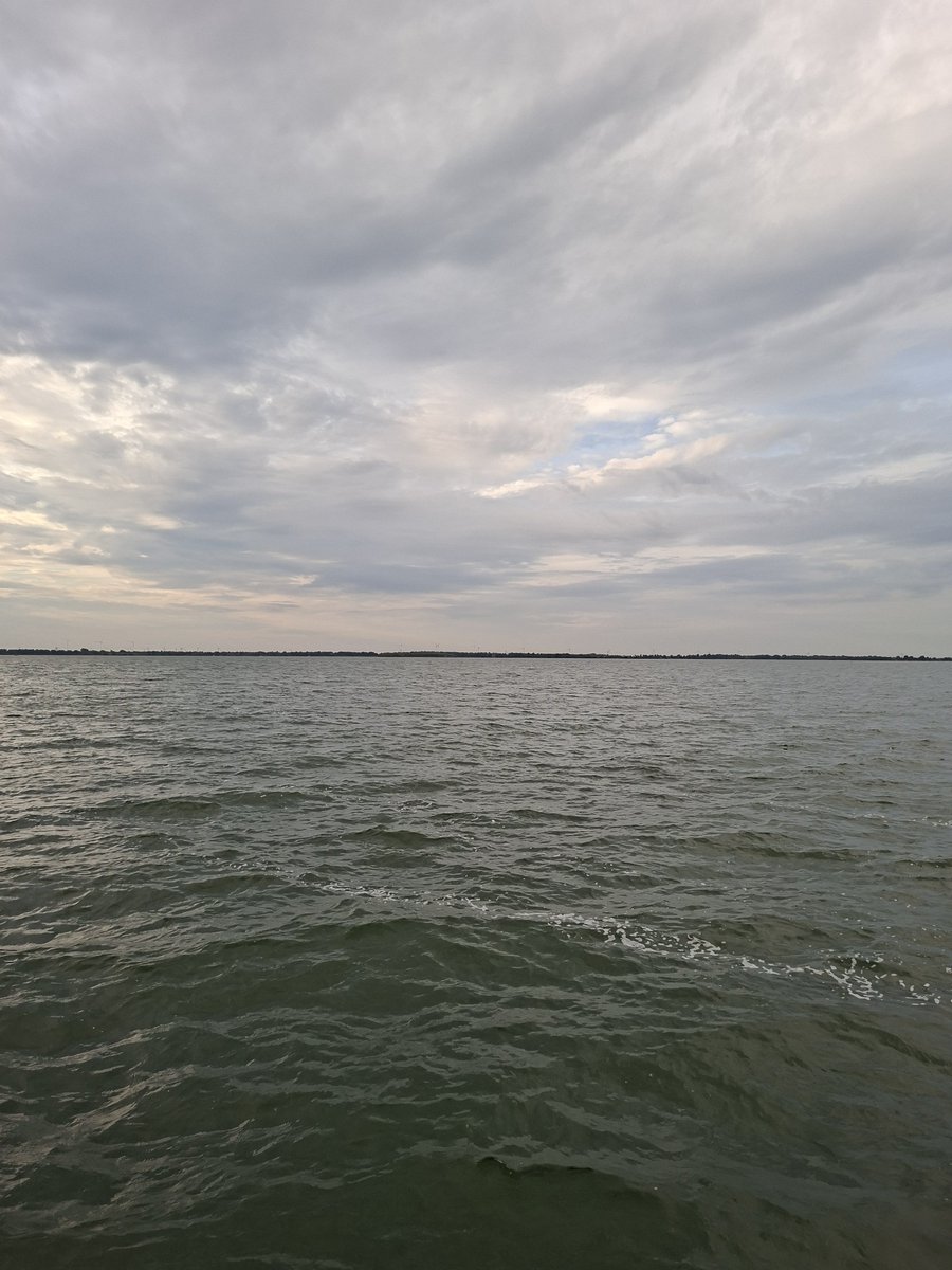 3littlebrdz's tweet photo. Niet meteen warm ervoor, het water wordt nu wel kouder. #openwater #zwemmen https://t.co/alTp9do5ha