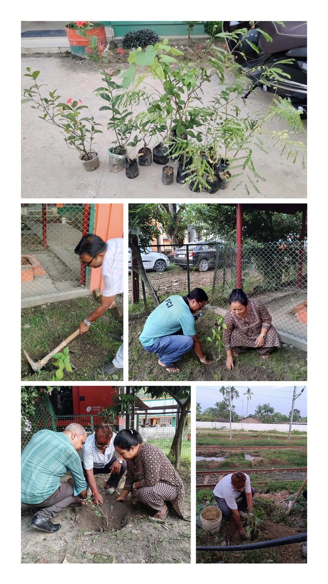 fcidojorhat's tweet photo. As part of the Swachhta Hi Seva (SHS) 2026 campaign, a plantation drive under the “Ek Ped Maa Ke Naam” initiative was organised at FSD Cinnamara Depot Campus on 30 September 2026. The initiative focused on promoting greenery, environmental consciousness and sustainable practices.

The plantation drive reaffirmed the commitment towards a cleaner, greener and healthier environment, while encouraging collective participation in environmental conservation. 🌱🌿

#SwachhtaHiSeva2026 #EkPedMaaKeNaam #PlantationDrive #FCI #SwachhtaHiSeva