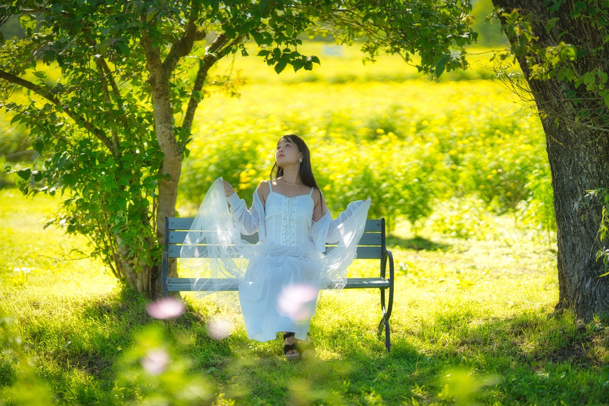 hya_photo's tweet photo. キバナコスモス📸
 #ポートレート撮影 https://t.co/IbjQe0214q