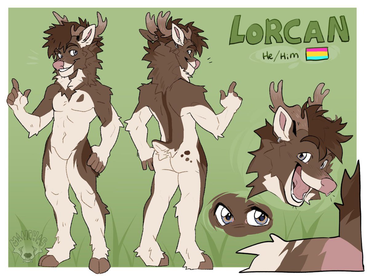 LorcanDeer's tweet photo. @AidenSphynx https://t.co/R6gnJ5TzKQ