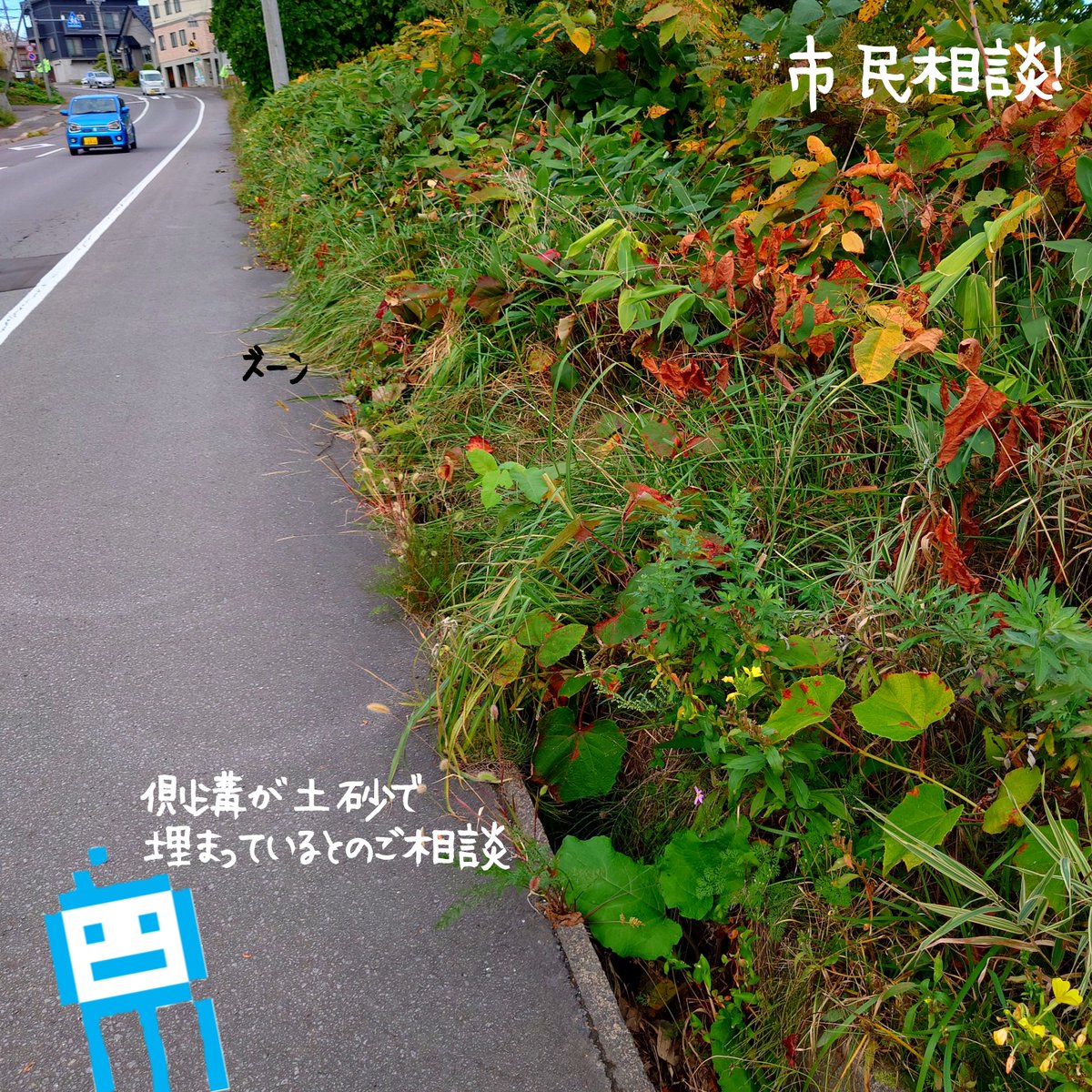shi_ra_ka_wa's tweet photo. 市民相談。市道「桜1号線」沿いの側溝が土砂（というかほぼ泥のかたまり）が詰まっているのでした。草を分けてみると側溝の側壁が見えなくなるほど泥が詰まっているのでした。対応！

#市民相談
#公明党
#小樽 https://t.co/iei0ZeHVMx