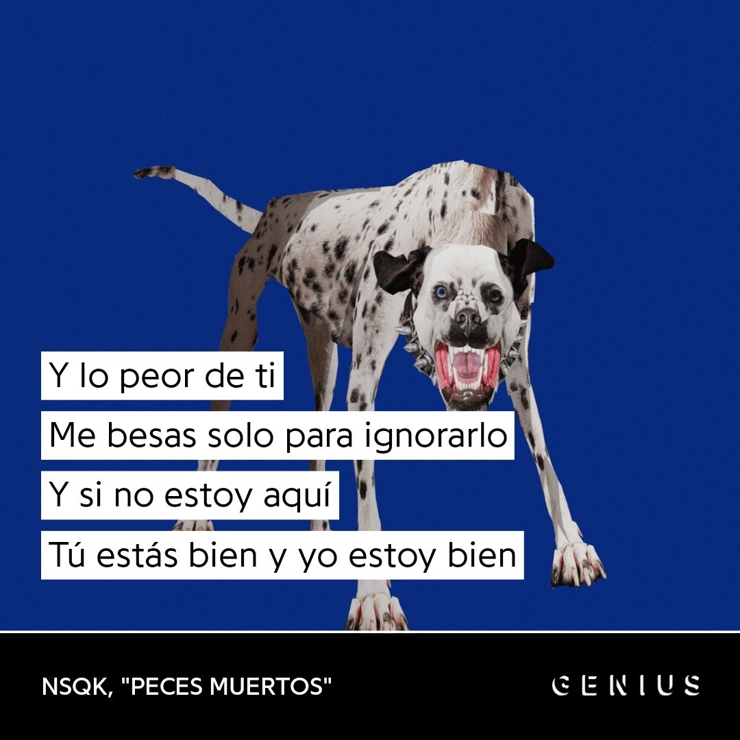 1unamorsupremoo's tweet photo. lo peooor https://t.co/ypTTOduAZR