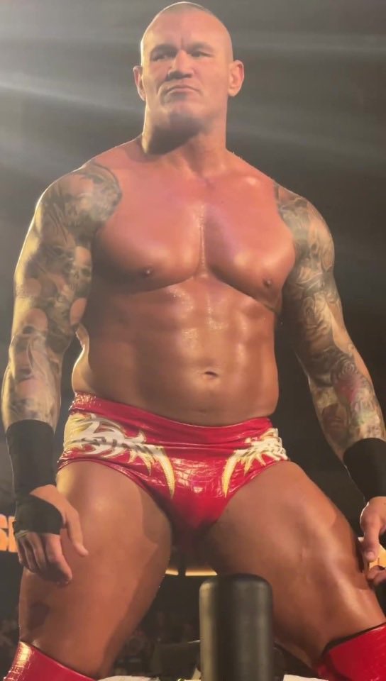 SkipsFleshlight's tweet photo. randy orton was my sexual awakening https://t.co/7tTf91oXOP