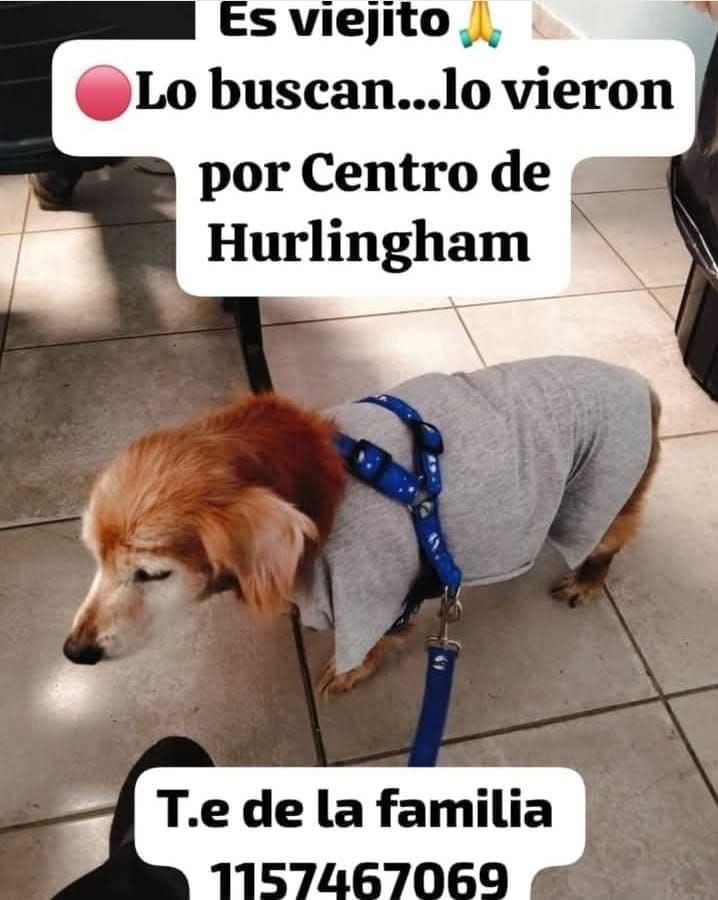 unmismocielo's tweet photo. Por favor difundan 👇👇 https://t.co/F6hlL9iDrx