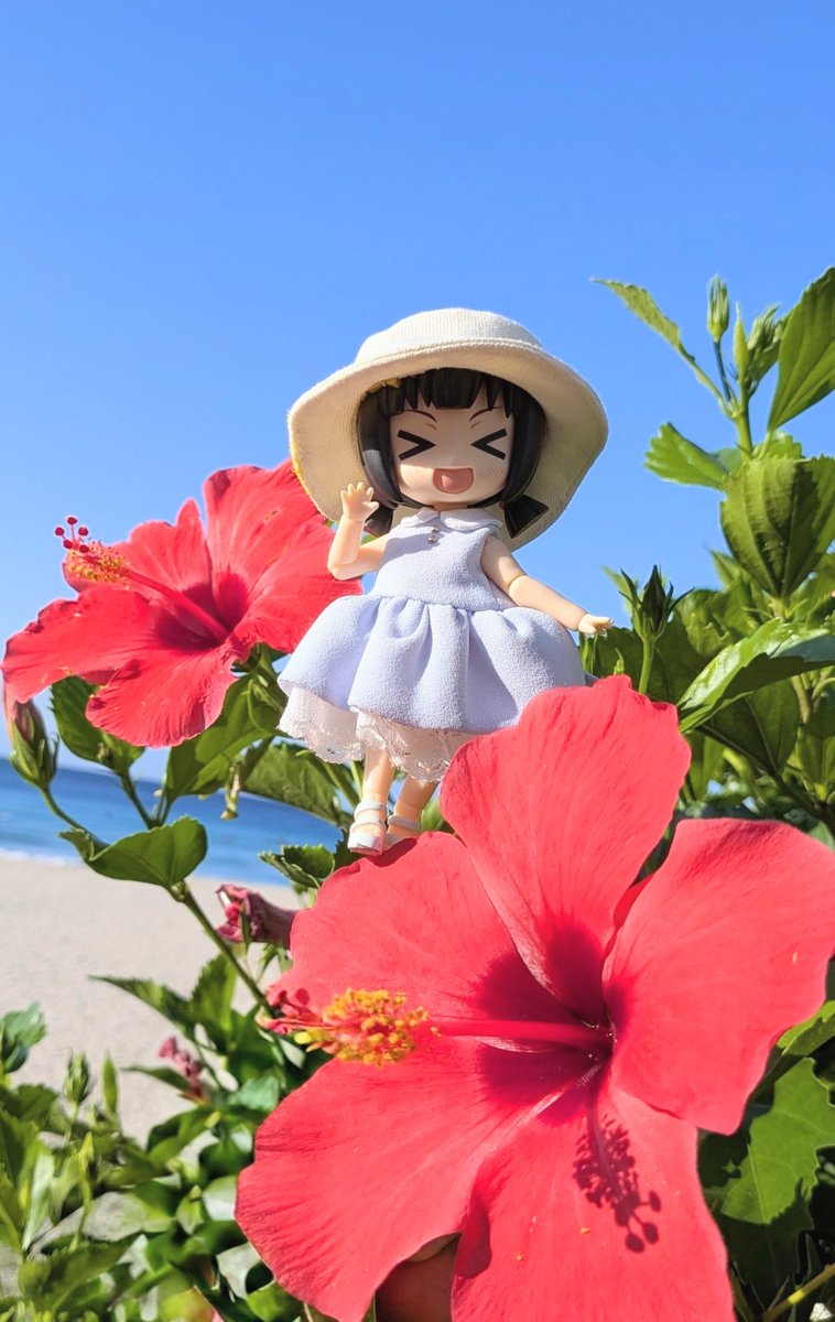 komecco0505's tweet photo. #深夜のねんどろ撮影６０分一本勝負
9/30 【こんげつのしゃしん】ふらいんぐ
雨続きで気分が沈みがちですがパッと明るい写真を集めてみました！☀🌺🥂✨
いつもご覧いただきありがとうございます😆
来月もこめっこをよろしくお願いします
(☆ᴗ͈ˬᴗ͈) https://t.co/HmdWbjoa5R