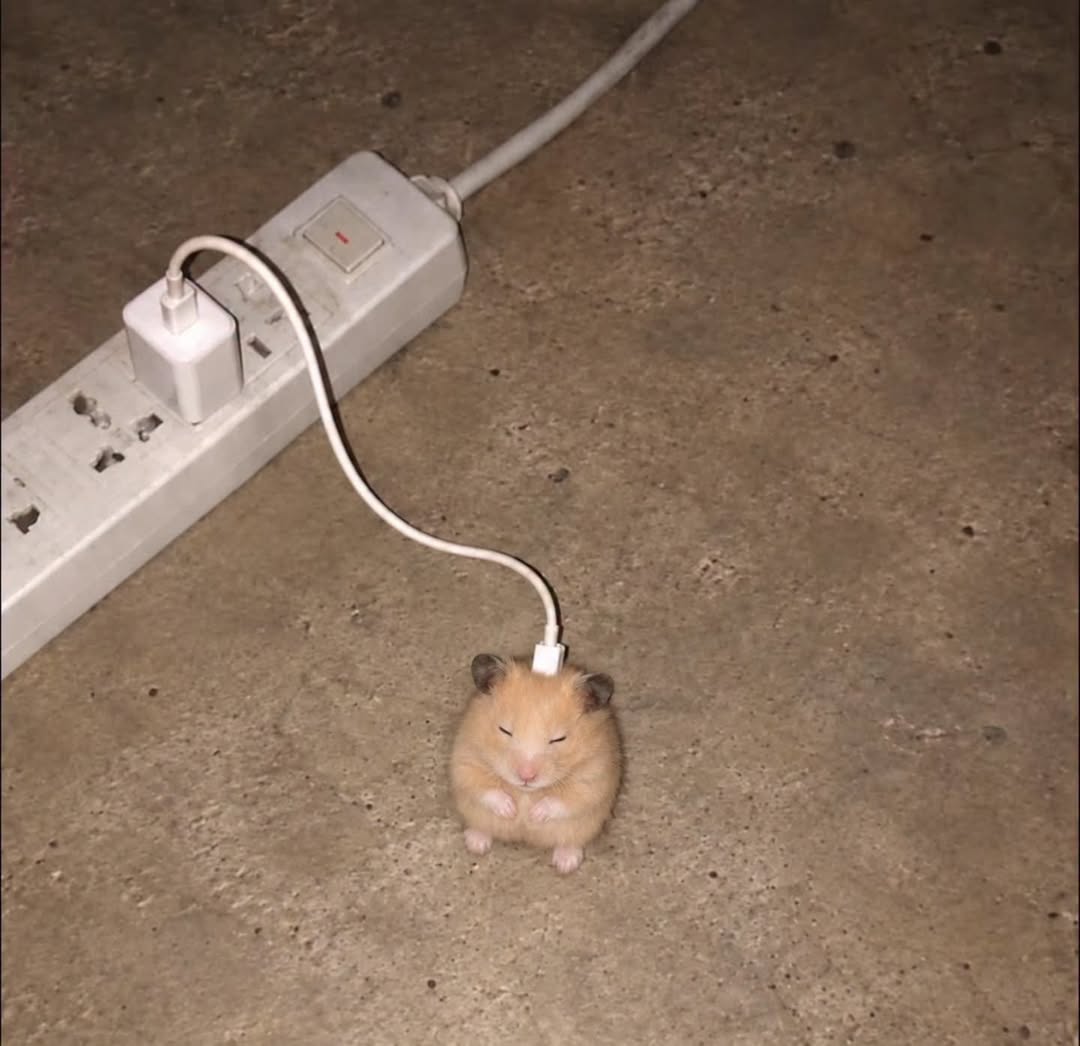 ogshitposts tweet picture