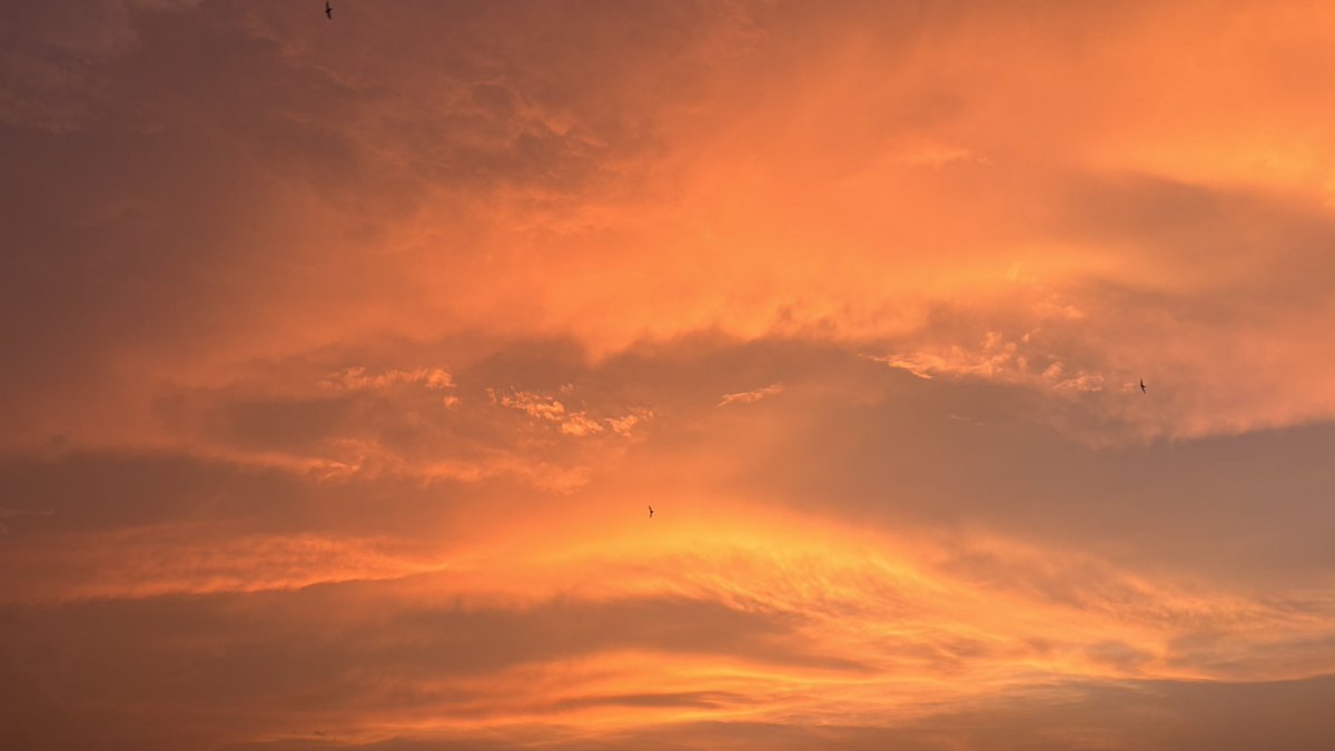 _arrohii's tweet photo. The sky painted what my words couldn’t say … https://t.co/VPiEs5EBvS