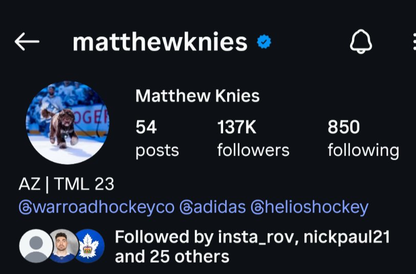 Leafer91T's tweet photo. Kniesy still has TML on profile 😭 #matthewknies #torontomapleleafs https://t.co/iMOlfFuY92