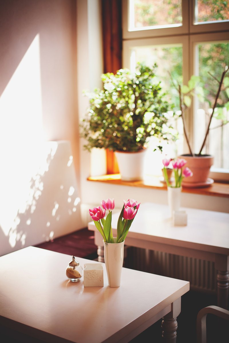 rober_r_722_0ae's tweet photo. The gentle breeze through the window pane lets a soft ray of sunshine slip in, which makes this quiet moment so perfect. https://t.co/7xC4gOLubi