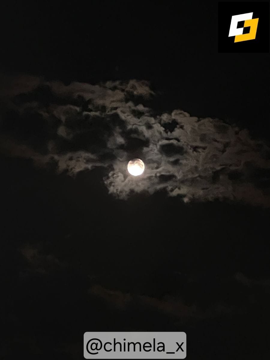 chimela_x's tweet photo. #FullMoonWithzBit https://t.co/SmLHyDAL3U