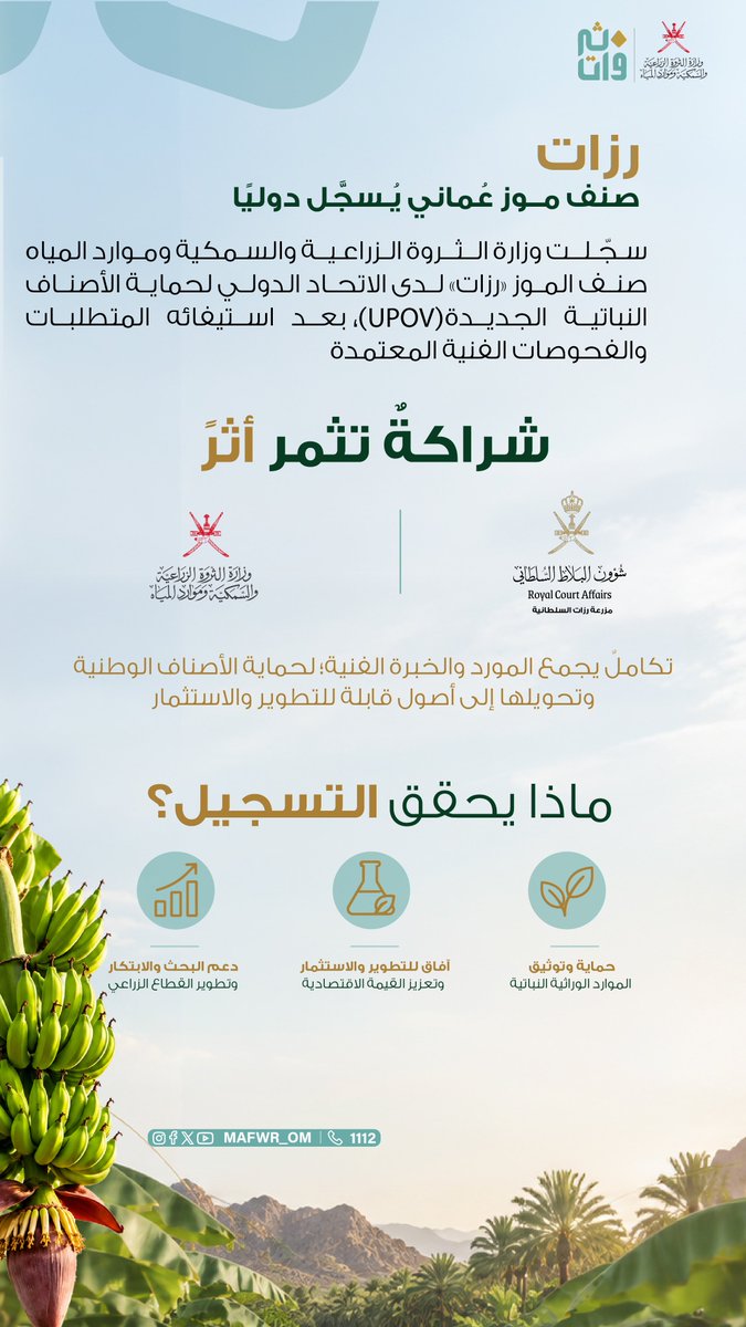 MAFWR_OM's tweet photo. 🌱 "رزات".. إنجازٌ وطني يُسجَّل دوليًا

تسجيل صنف الموز العُماني "رزات" لدى الاتحاد الدولي لحماية الأصناف النباتية الجديدة (UPOV)؛ خطوة تعزز توثيق مواردنا الوراثية وحمايتها، وتدعم البحث والابتكار، وتفتح آفاق التطوير والاستثمار.
@Oman_rca https://t.co/sB6LVJqres