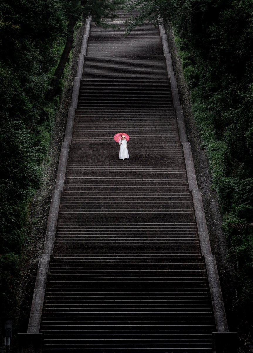pictures033's tweet photo. Kyoto, Japan 🇯🇵 https://t.co/V5K1AjPigO