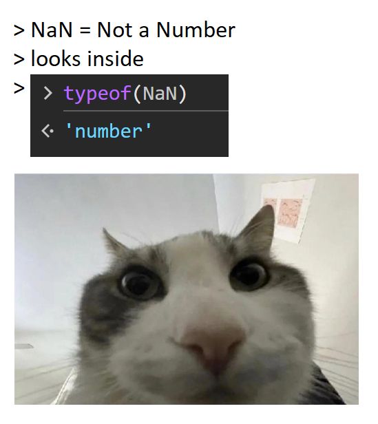 apooorved's tweet photo. I was today years old when I found out that:

NaN === NaN is false

How old were you? https://t.co/NFVVbhda1O