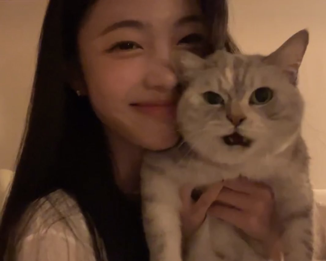 Hearts2an's tweet photo. 강호둥고양이한테 서열정리당하기 0.5초전 https://t.co/bVSYveO1PR