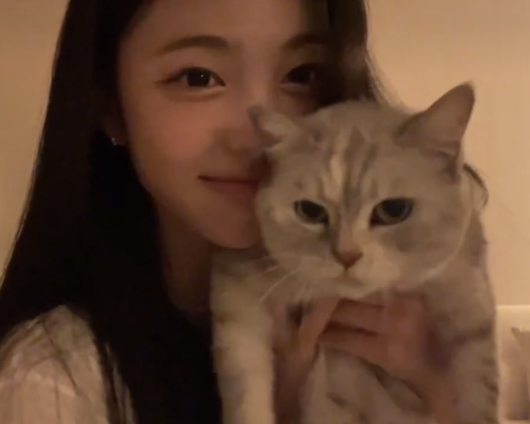 Hearts2an's tweet photo. 강호둥고양이한테 서열정리당하기 0.5초전 https://t.co/bVSYveO1PR