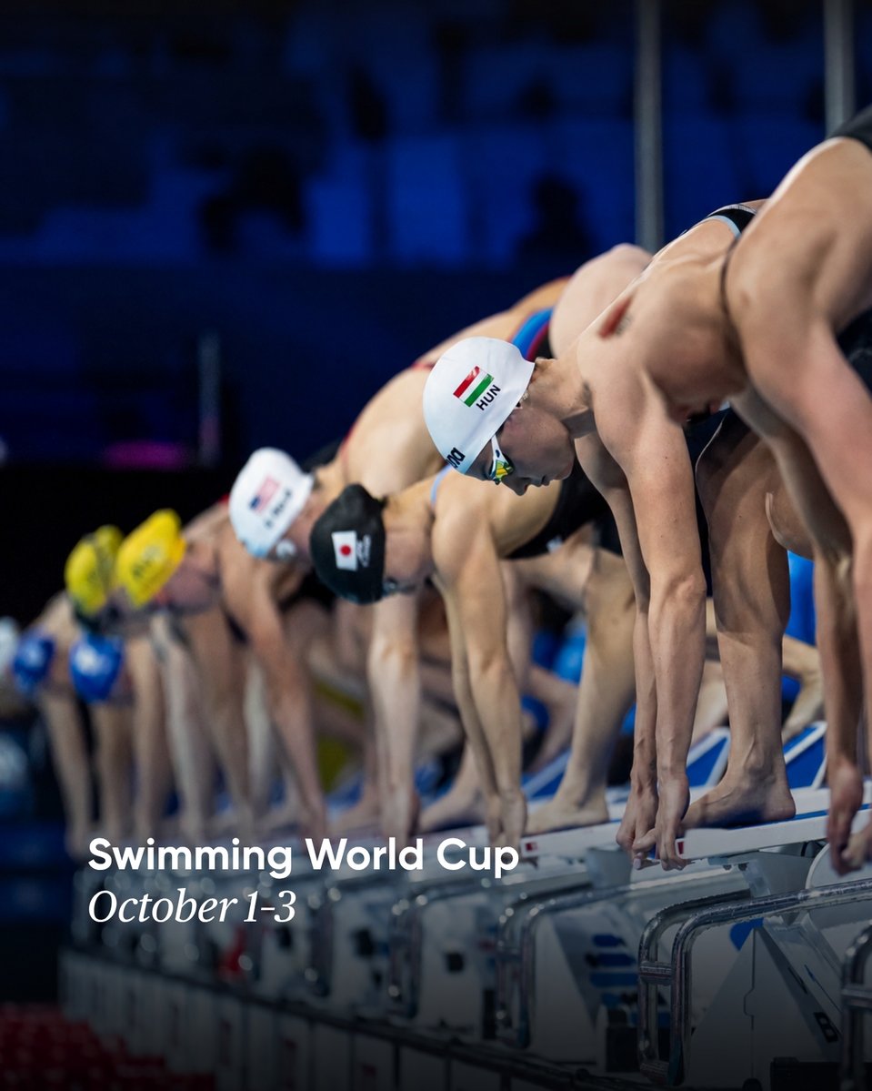 ExperienceAZE's tweet photo. Make room for a little excitement this autumn. From major sporting moments to live music and festival evenings, there’s always another reason to go out in Azerbaijan.
Aquatics Swimming World Cup tickets at @ https://t.co/SrkKBH0jAE
Beer and Food Festival by @ https://t.co/EN2nwJW5hD
Baku Jazz Festival more info at @ bakujazzfest
Ballet Evening by @ candlelight.baku
Sumo World Championship @ https://t.co/8nTGnpodti
Film Music Evening by @ candlelight.baku
FIFA U-15 World Cup & Fest tickets at @ https://t.co/SrkKBH0jAE
The World of Adrenaline Circus by @ circus.seabreeze
#azerbaijantravel #azerbaijan #experienceazerbaijan