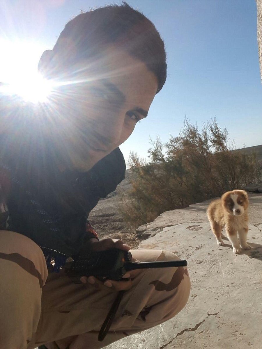 YEKIazYEKI's tweet photo. توی سکوت اعدامتون کردن با فکرِ اینکه گمنام میمونین. ولی من داستان زندگیتونو فریاد میزنم. نمیذارم انسان‌زدایی بکنن ازتون. رفیقامون با حکم قاضی مرگ غلامرضا اکبری به قتل رسیدن.
به داد بازماندگان خیابان طبرسی، بچه‌های شاندیز و جاده قدیم مشهد باشیم تا دیر نشده...

امروز ج.ا یه پدر ۲۵ ساله رو کشت و دو فرزند یتیم شد. یه بچه‌ی بهزیستی که با تمام سختیاش بدون پدر و مادر، تونست دووم بیاره و خانواده تشکیل بده و پدر دو فرزند بشه، رو کشت. تو اوج بی‌کسی بود. یه کارگر که نه کسی پیگیرش شد، نه رسانه‌ای داستانشو گفت تا وقتی که اعدام شد #علی_همتی (ازش عکسی پیدا نکردم و انگار تو دنیا دیجیتال حضور نداشت از فشار زندگی...)

#مجید_خوش‌اندیش جوون قوچانی که تو #کشتار_دی دستگیر شد. صافکاری که نون‌آور خانواده فقیرش بود. خانواده رو با اعاده دادرسی بازی دادن و زمان خریدن برای کشتنش. مادرش تا آخرین روزها امید داشت که پسرش سالم خارج بشه از زندان ضحاک. نمیتونم تصور کنم چه عذاب وجدانی میگیره مادر و خانوادش... اونا تجربه مارو نداشتن و ج.ا و دادگاهاش رو نمیشناختن، فک میکردن دارن خوبی میکنن به پسرشون. به قدری زندگی سختی داشت که تمام عکسایی که ازش هست، برای دوران خدمت سربازیش هست(که بدترین و سخت‌ترین روزای یک مَرده)

این دو قهرمان تا روزهای آخر تحت شکنجه و فشار برای اعتراف اجباری بودن و به حکم محاربه به دار آویخته شدن....

یادتون تو سرزمین سربداران همیشه زنده می‌مونه
