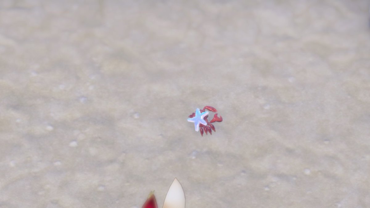 maccha_manjyu's tweet photo. あれ？ホロドリってもしかして何種類もカニ🦀のモデルつくった？ https://t.co/pBl4mFdyTd