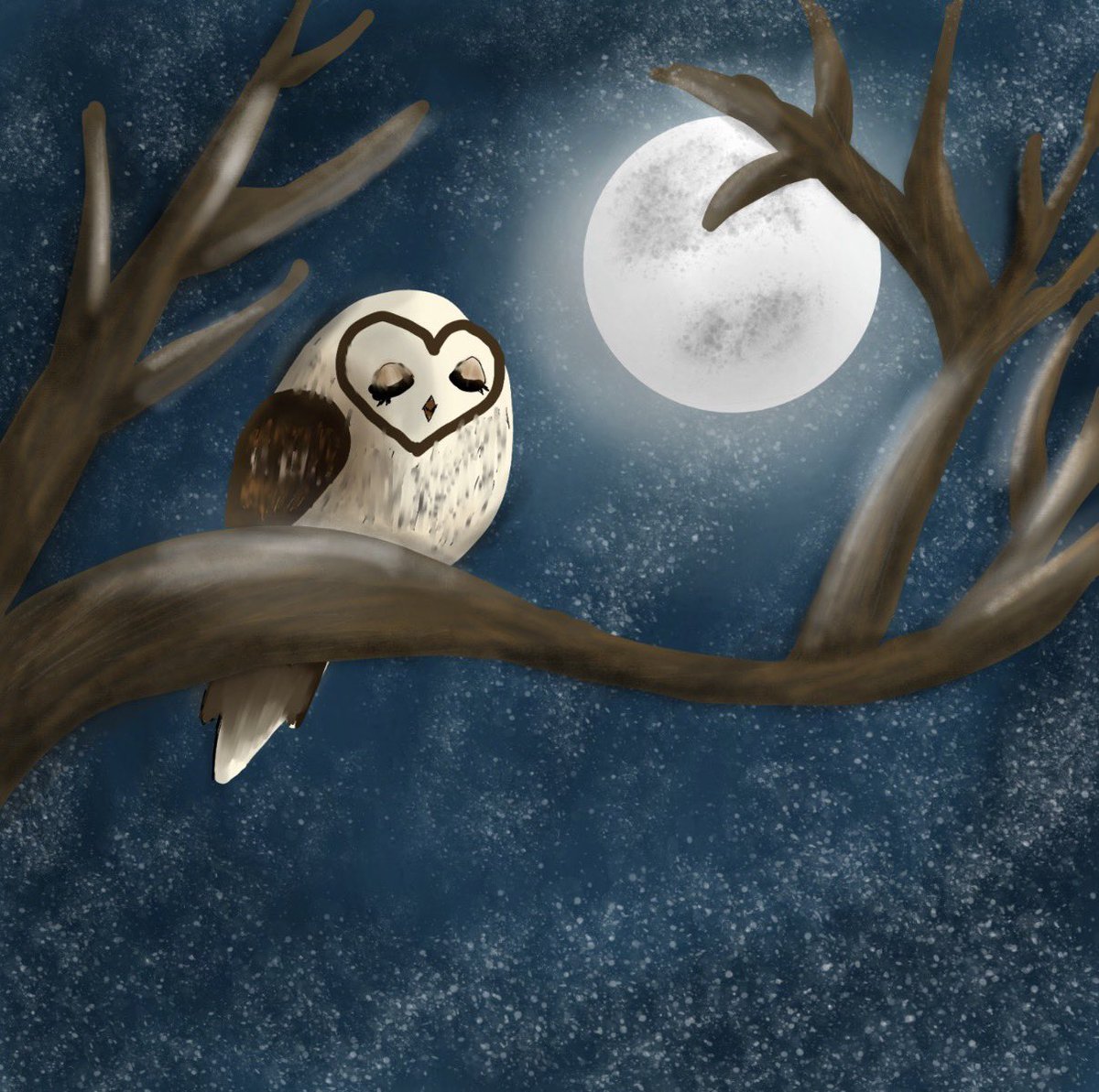 CUT13K1TTYC4TXD's tweet photo. Just owl… 🦉✨ https://t.co/wZCSL4fyvG