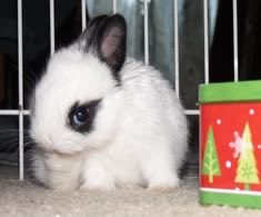 Bunnies's tweet photo. https://t.co/JVSpl0zd97