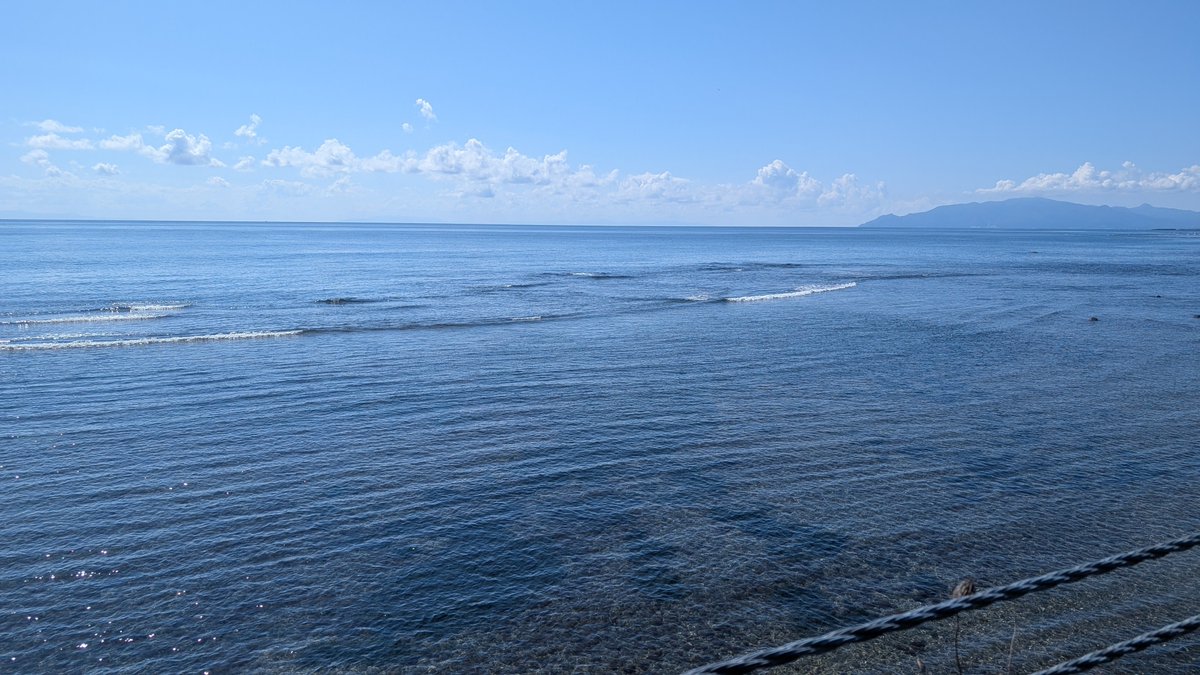 mi001000's tweet photo. 函館朝市どんぶり横丁のぶっかけ食堂🦪
友達やお客さんと行くけど、みんな泣く泣くご飯を残してしまうくらいボリューミー！✨
海鮮の下に更にホタテが隠れてるよ🥰 https://t.co/ApuNedNNIk