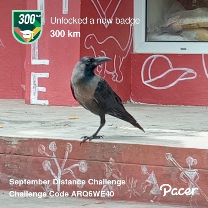iArunkumaar's tweet photo. #SeptemberDump #StepChallenge #VirtualRace #PacerApp #10KClubTamil https://t.co/knwKTlfC72
