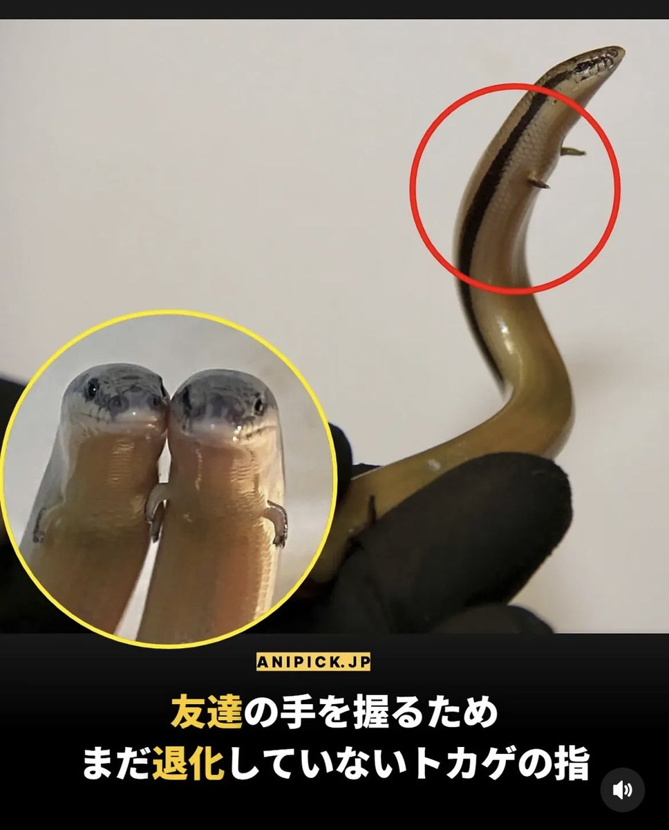 yhmu_ycmd's tweet photo. 最近インスタのリールでかなり良い投稿が流れてくる。 https://t.co/mPA0irR8uv