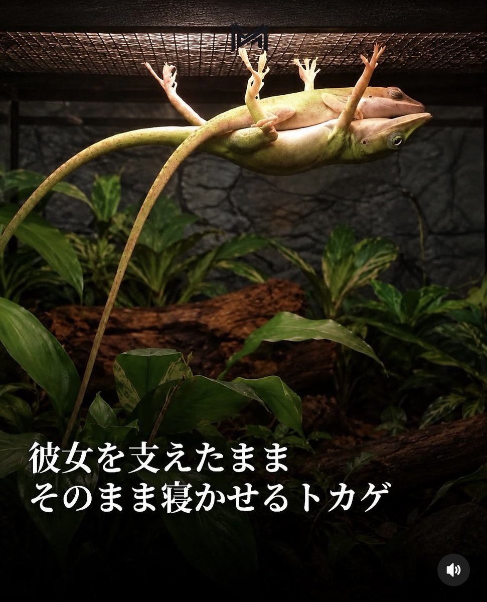 yhmu_ycmd's tweet photo. 最近インスタのリールでかなり良い投稿が流れてくる。 https://t.co/mPA0irR8uv