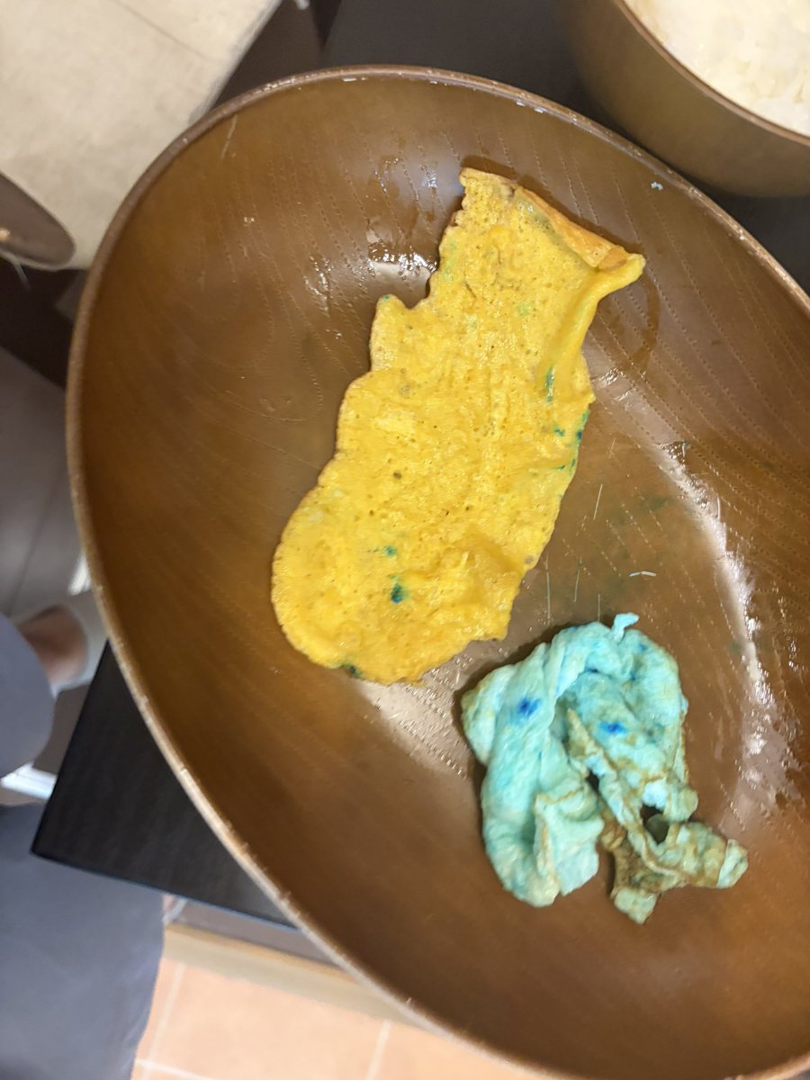 yuushionn_'s tweet photo. 卵焼きにも挑戦したけどうまく巻けなかったので弁当に入れるのは諦めるょ https://t.co/ZJM8y9w7Ds