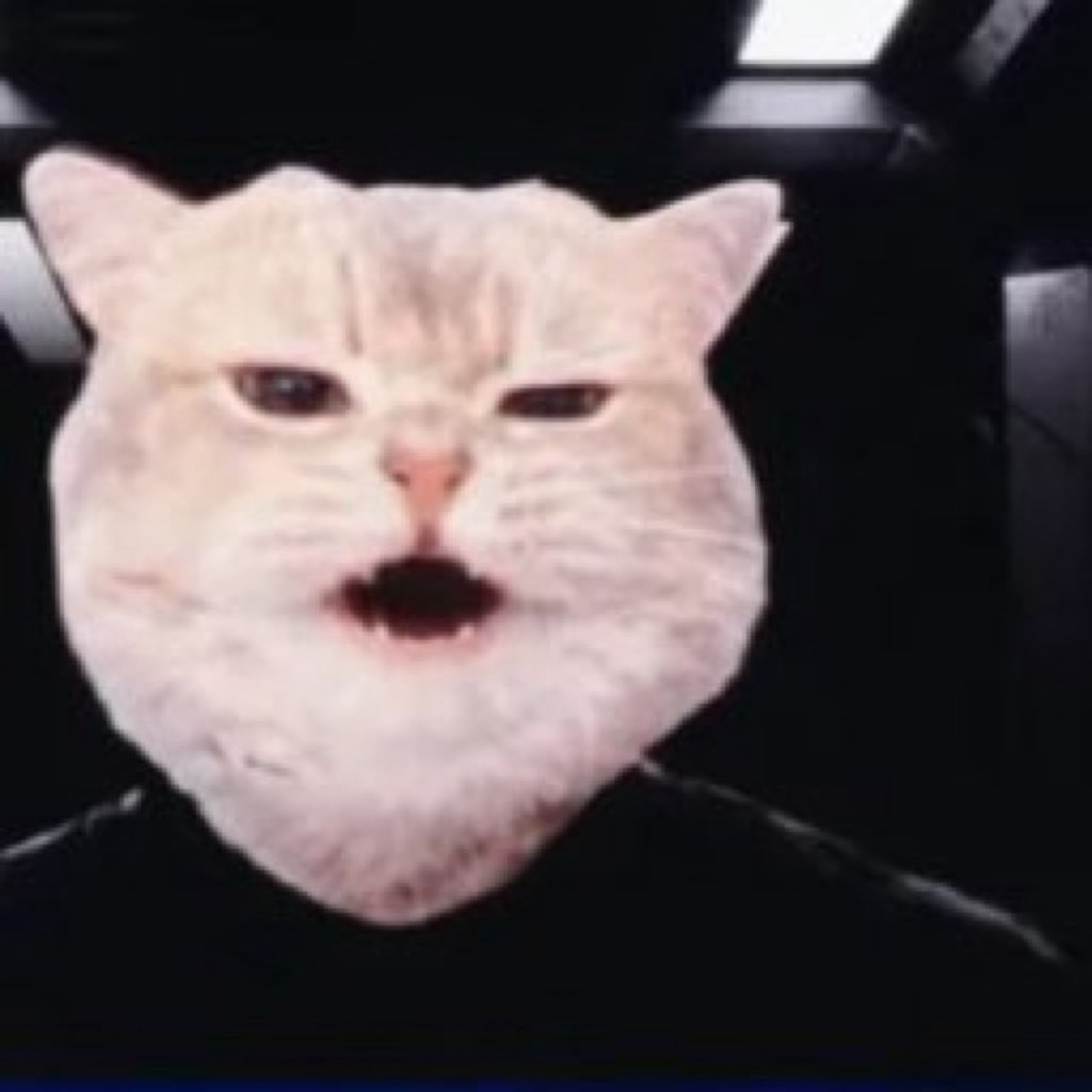 VraxCT0 tweet picture