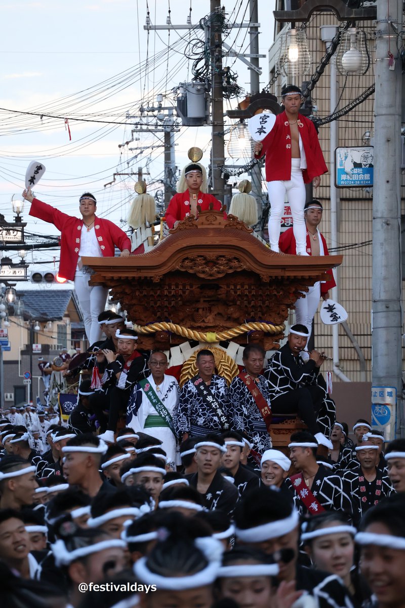 festivaldays's tweet photo. 自分はサンサン通りの正面も好きなので
曳きだしは3年連続ココになりましたが、
諸事情で今年春木は曳きだししか
行けなかったのが残念でした😖

しかし動画見ると、ウサギヤは更に白熱していて
もはやまともに撮れなさそうです https://t.co/eEQWvOEMsF