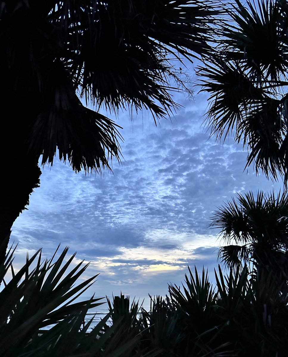 SusanZanca14's tweet photo. Tropical blue skies 💙🌴☀️🌊

#TropicalVibes #BeachLife #BeachVibes #OceanView #OceanLovers #BlueSkies #Paradise #IslandLife #TravelPhotography #BeachPhotography #TropicalParadise #VacationVibes https://t.co/WMTbz2Tipn