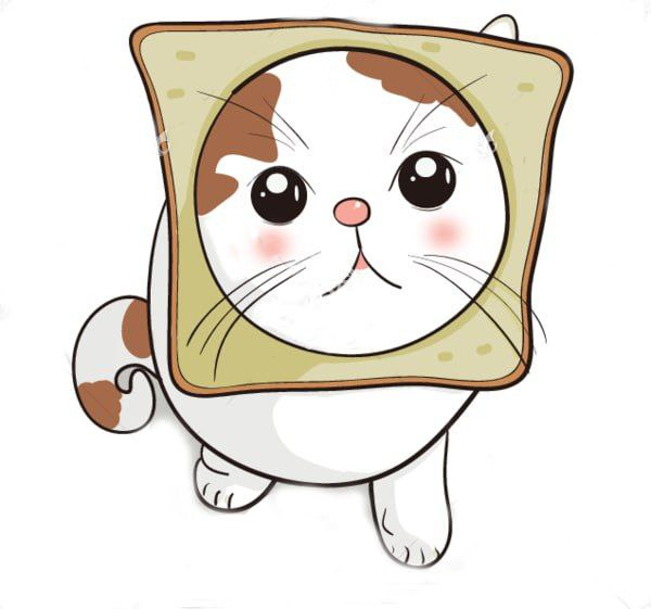 INBREDCATONSOL's tweet photo. https://t.co/aHrBTWRn0j
