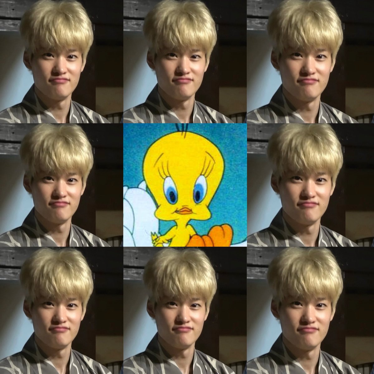 pekkleeoe's tweet photo. SOME LITTLE TWEETY BIRD 🐥💘 https://t.co/Yjbux5aDYD