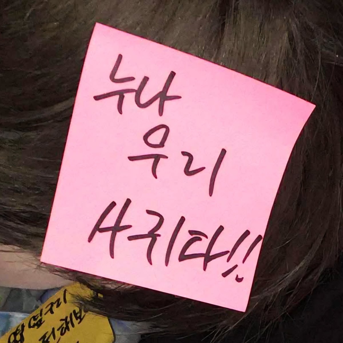 SAKUYAmoment's tweet photo. 하 사쿠야 메모 멘트들 다 하나같이 ㄹㅈㄷㅠ

저기.. 맘에... 들어서... 그런데 연락처 주세요 제가 맘에 들지 않으시면 저를 열라쳐 주세요 연락처 아니면 열라쳐 연락처 주면 꼭 연락춰 yaeh~ 연락처

진심으로 너무 사랑해요 제발 사겨주세요 제발요 빵 사드릴게요

옆구리 허전해보여 너

누나 우리 사귀다!!