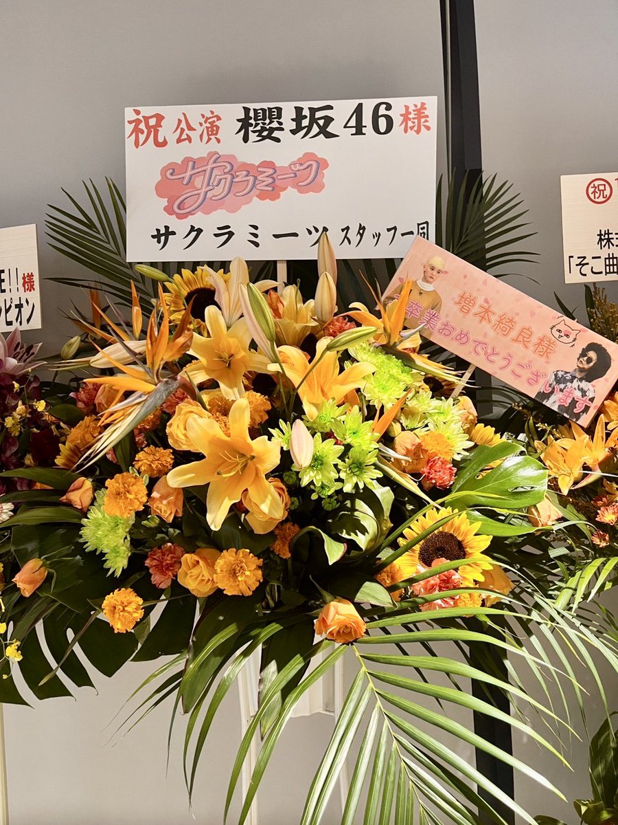 sakura__meets's tweet photo. ／
#サクラミーツ🌸から
#櫻坂46_BACKSLIVE_DAY2
にお花を贈りました💐✨
＼
 
本当に、最っっ高の、
 
🧡🐈‍⬛#増本綺良卒業セレモニー🦎🧡
 
でしたね…！！！😢✨

#サクラミーツフェス
限定特典付アーカイブ配信中🎫
▷https://t.co/LYuOm7RdER
TVerでは見所解説も👀💚
▷https://t.co/XTwk4bdTNA https://t.co/tGHhCDuXTC