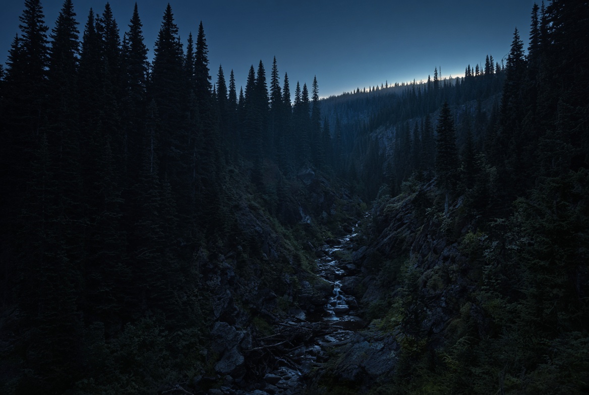 Zay_So_Rondo's tweet photo. An owl calls once from the far side of the ravine. The second call never comes. That is enough. https://t.co/xIL8ome2MZ