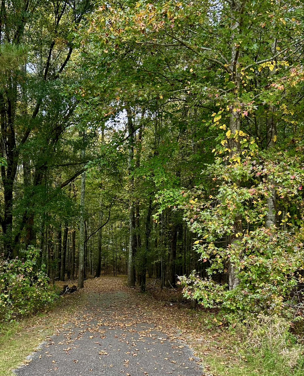 JeaneFahrlander's tweet photo. Good morning🍂 https://t.co/o3uKc8nlLJ