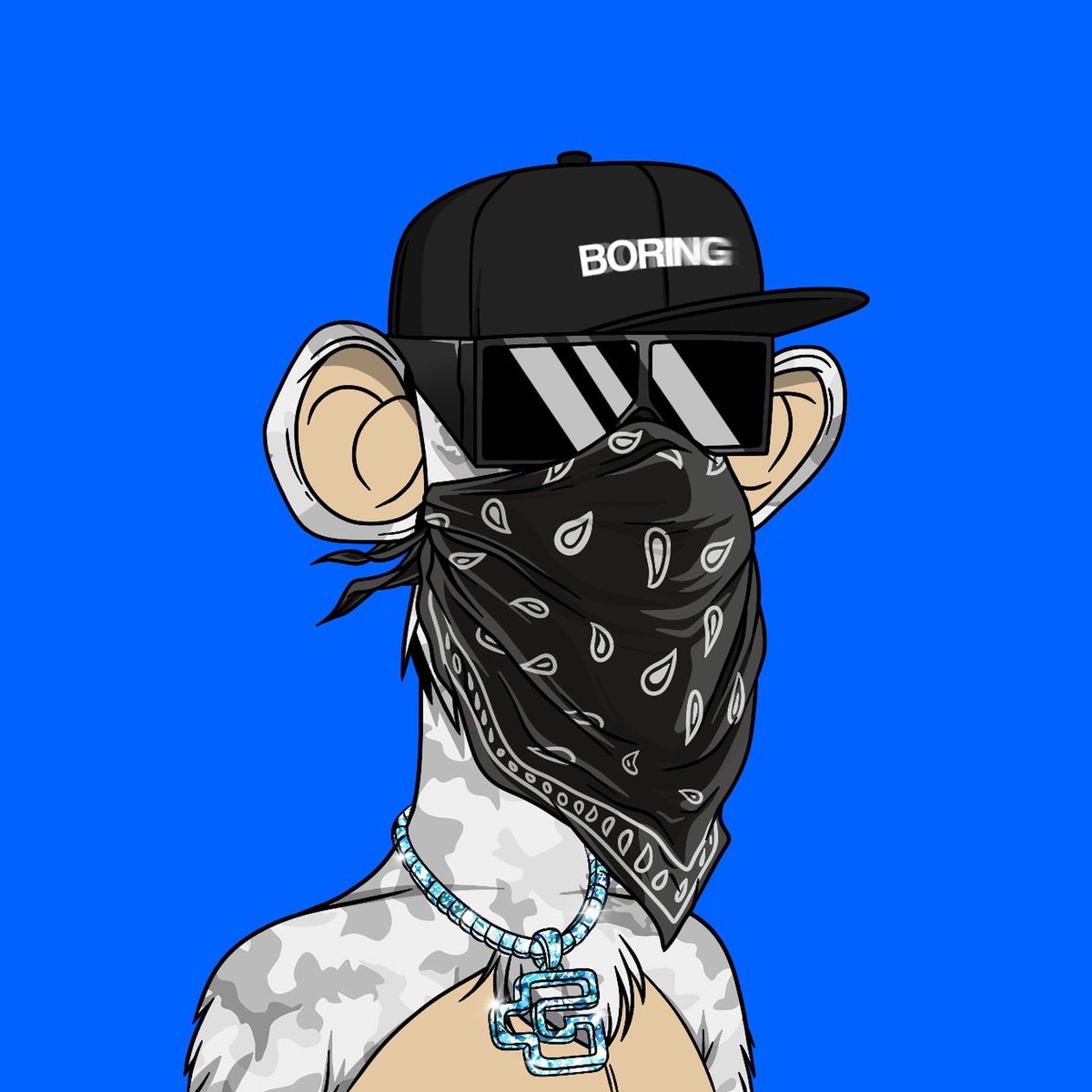 reidonft's tweet photo. GM! it’s WARDROBE WEDNESDAY🔥🔥
@BasedApeGang @theapehood https://t.co/Rp6DphkUdc