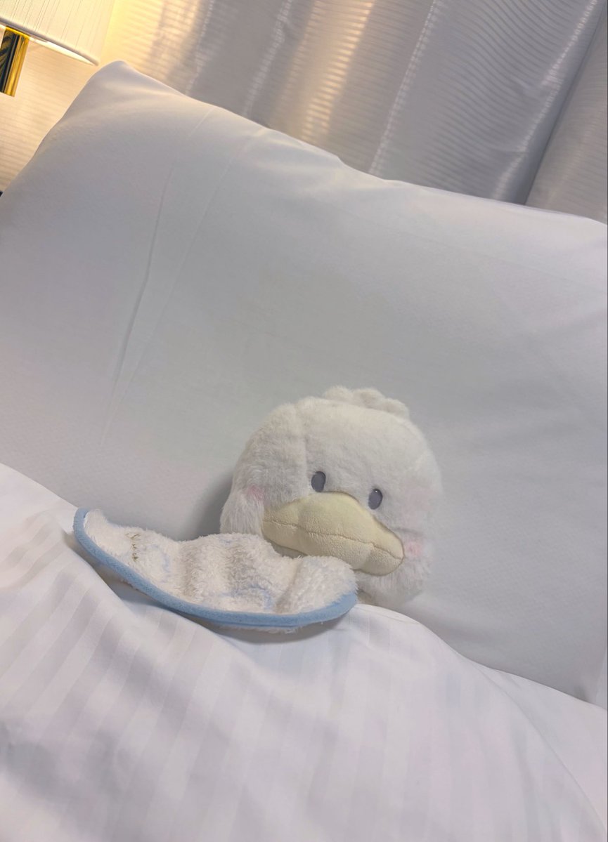 pekuoo9's tweet photo. おねむなの…💤 https://t.co/OEUv9DHk9r