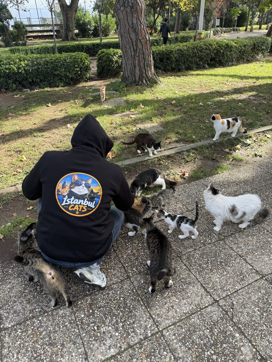 istanbulcatsrh's tweet photo. Today, we were in Kadıköy, feeding the cats of Istanbul. ❤️

We filled little bellies and spread a little love. But we’re just getting started.

Our mission is to reach every corner of Istanbul and help as many cats as we can.

Istanbul Cats is more than a community. We’re one big family. 🐈‍⬛

The whole city is waiting. 

We’re coming for all of Istanbul. 🔥