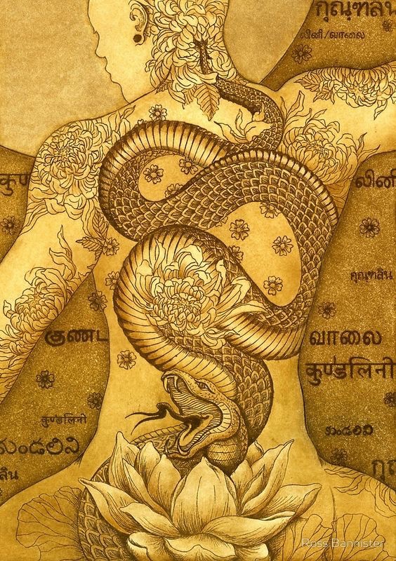 thestillpoint_'s tweet photo. "Coiled three and a half times like a sleeping serpent, fine as a fiber of the lotus stalk, shining with the brilliance of ten thousand lightning flashes, Kundalini resides in the root center, waiting to be awakened."

— Swami Purnananda, Shat-Chakra-Nirupana https://t.co/qYS2b4d2iq