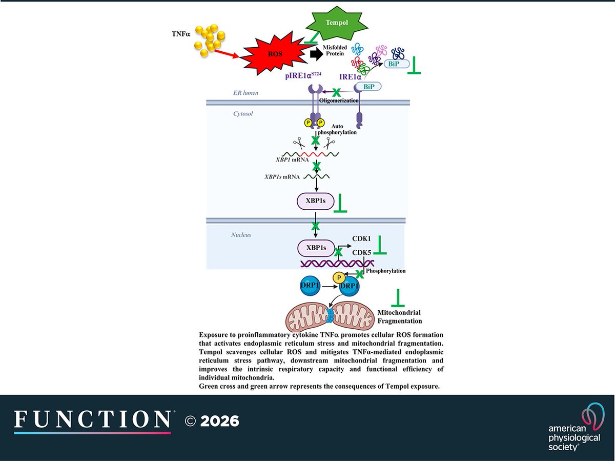 APS_Function tweet picture