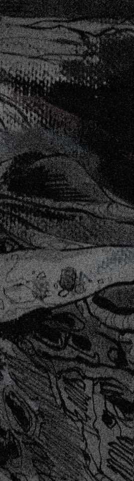 rnxodu1930's tweet photo. #natori_art 
pupa https://t.co/JXj8P5UZFJ