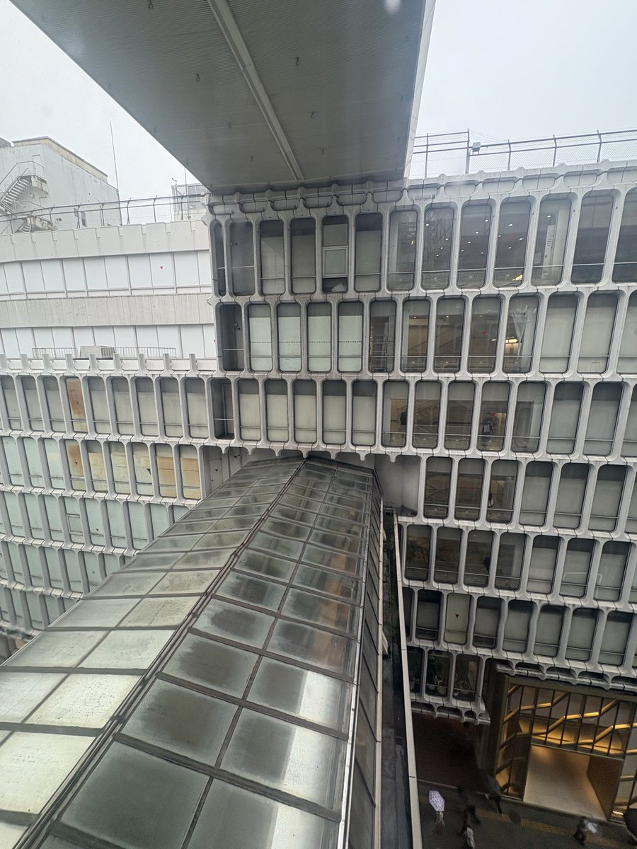 Kamemi_jp tweet picture