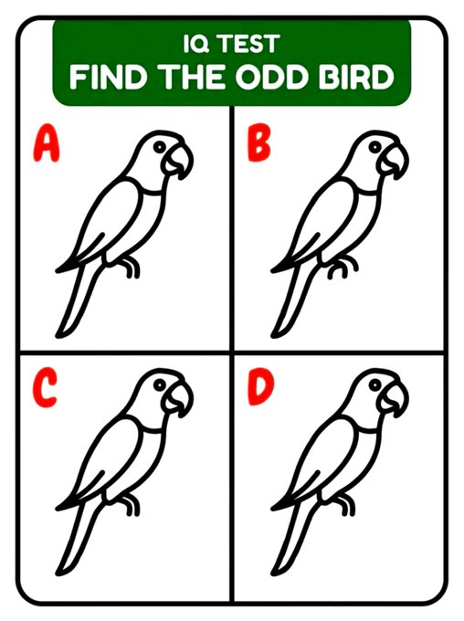 Lindsey_448's tweet photo. Spot the Different Parrot https://t.co/35TYGQpsNx