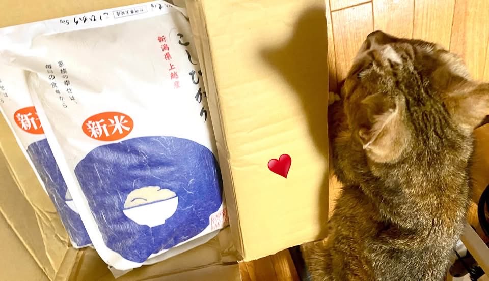 9Gzjas's tweet photo. 感謝感激✨🌸🐱🪐🐾💖
平原さま⭐️ に
故郷❤️上越産の美味しい
おおた農場さまのこしひかりを
又又たくさん送ってくださり
最高で嬉しいです🌾💞
ありがとうございます❣️
ご馳走さまです🙏

可愛いのあんみつ君💞
ほんのちょっと
お裾分けお待ちくだされ🐱🌸

先月の凱旋ライブから
引き続き心より https://t.co/dPMfaCHzyG