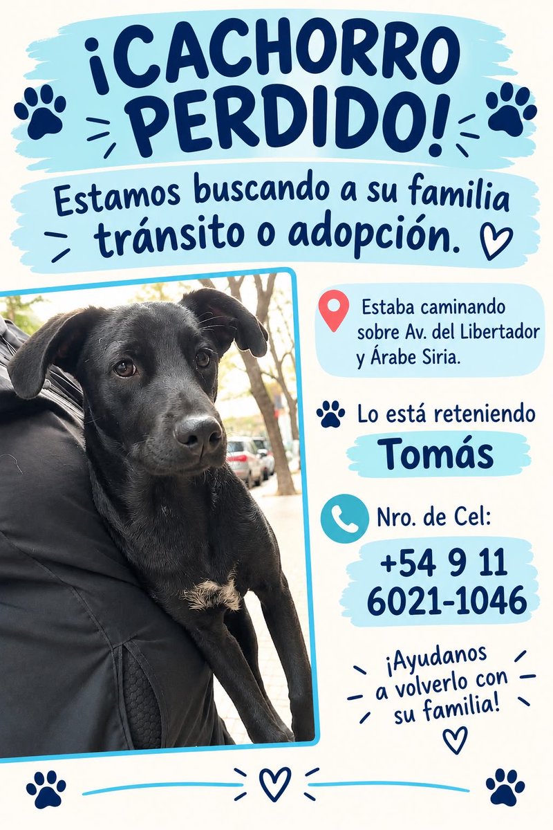 salvinamusica's tweet photo. ¿Por favor, me ayudan a difundir YA?
Un paseador, Tomás, acaba de encontrar AHORA a este cachorro perdido en Libertador y Árabe Siria.
Vive en Provincia y no se lo puede llevar. 
¿Pueden compartir a ver si encontramos al dueño o tránsito por favor? https://t.co/ClNEDfQQFK